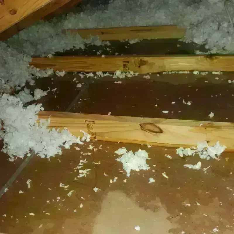 Attic Water Damage in Jasonville, IN